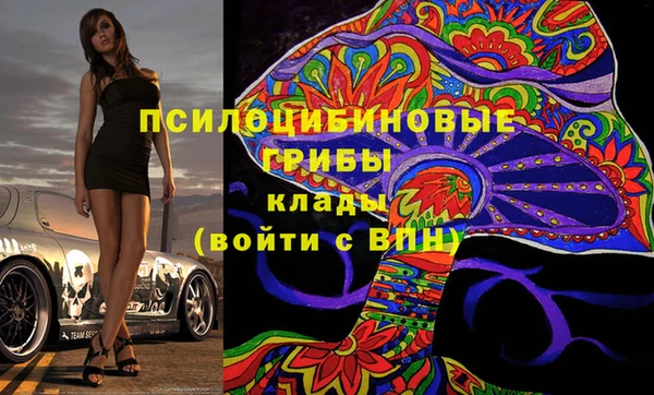прущий лед Богородск