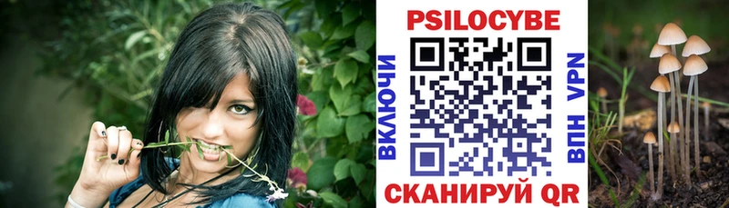 закладки  Электроугли  Псилоцибиновые грибы мухоморы 